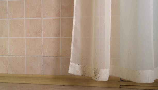 Best Indoor Air Quality Assessment  in Lake Dunlap, TX