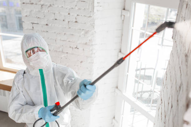 Best Mold Documentation for Insurance Claims  in Lake Dunlap, TX