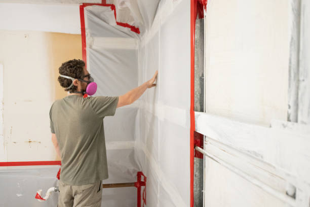 Best Comprehensive Air Testing for Mold Contaminants  in Lake Dunlap, TX