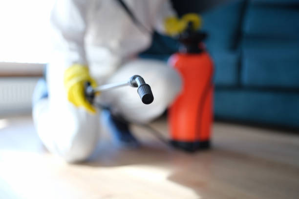 Best Asbestos and Lead Testing During Mold Inspection  in Lake Dunlap, TX